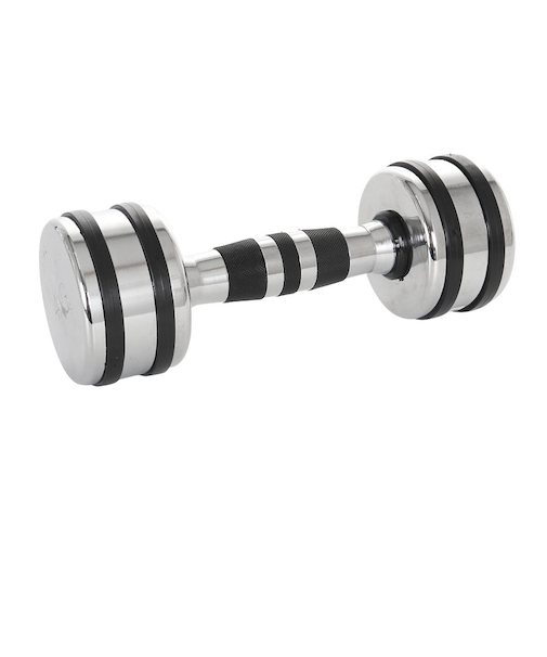 ファイティングロード Co.Ltd（FIGHTING ROAD CO.LTD）クロームダンベル 4kg FR22TAK002/4 SIL