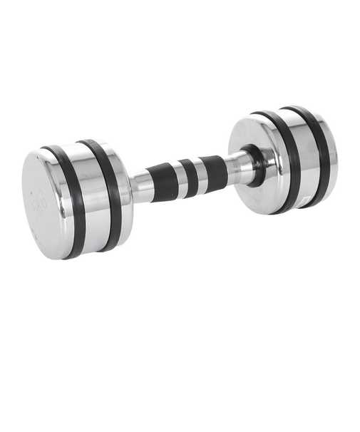 ファイティングロード Co.Ltd（FIGHTING ROAD CO.LTD）クロームダンベル 5kg FR22TAK002/5 SIL
