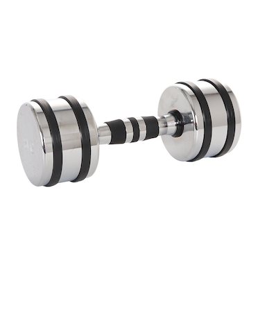 ファイティングロード Co.Ltd（FIGHTING ROAD CO.LTD）クロームダンベル 8kg FR22TAK002/8 SIL