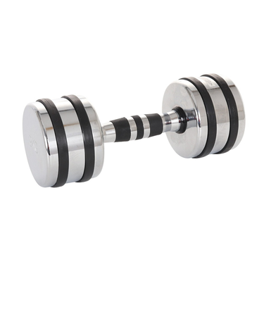 ファイティングロード Co.Ltd（FIGHTING ROAD CO.LTD）クロームダンベル 9kg FR22TAK002/9 SIL