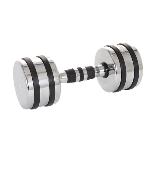 ファイティングロード Co.Ltd（FIGHTING ROAD CO.LTD）クロームダンベル 9kg FR22TAK002/9 SIL