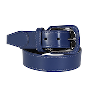 ミズノ(MIZUNO)野球 ジュニア ストレートベルト 12JYAV1116