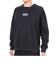 アンダーアーマー（UNDER ARMOUR）トレーナー メンズ DNA フリース クルースウェット 1381335 001