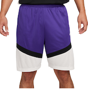 ナイキ（NIKE）ショートパンツ バスケットボールウェア ドライフィット アイコン DV9525-504 速乾