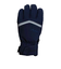 フェニックス（PHENIX）スキー スノーボード グローブ Space Hunter Gloves ESW23GL51 NAVY