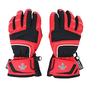 デサント（DESCENTE）ジュニア スキーグローブ 五指グローブ DWDWJD60 ERD