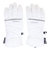 エアボーン（ARBN）スノーグローブ スキー スノーボード 5FINGGER GROVE AB43WG1555 WHT