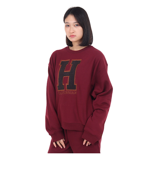 ハーレー（HURLEY）テリー オーバーサイズ クルー スウェット トレーナー 23 WFL2200001-MAR