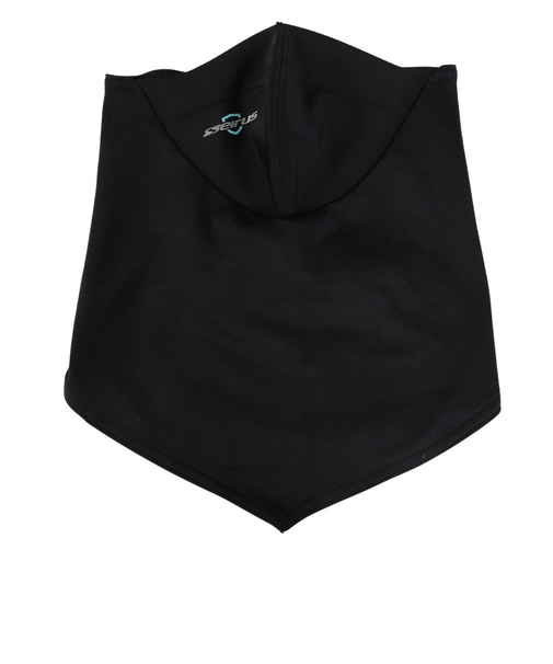 セイラス（seirus）フェイスマスク ネックウォーマー 24 KT EVOダイナマックスダナ