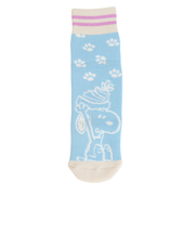 ベスプ(VESP)ジュニア 子供 スキー スノーボード ソックス PEANUTS スヌーピー 1足組 SNJK2008SX