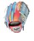 ローリングス（Rawlings）軟式用グラブ オールラウンド用 HOH グラフィック N64-GRY GR4HGN64-GRY