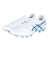 アシックス（ASICS）サッカースパイク サッカーシューズ 土 天然芝 人工芝用 DS LIGHT PRO 1103A095.100