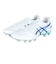 アシックス（ASICS）サッカースパイク サッカーシューズ 土 天然芝 人工芝用 DS LIGHT PRO 1103A095.100