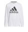 アディダス（adidas）キッズ エッセンシャルズ プラス ビッグロゴ 長袖Tシャツ KWF34-JE1719