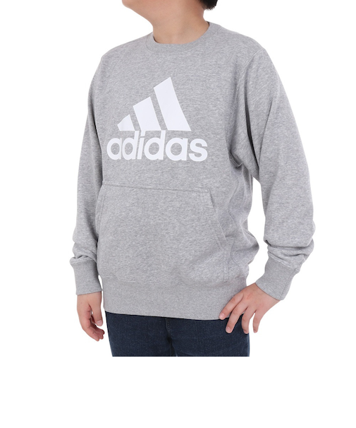 アディダス（adidas）ジュニア エッセンシャルズ プラス ビッグロゴ クルーネックスウェット KWF35-JE1727