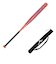 ミズノ（MIZUNO）ソフトボール用バット ミズノプロ AX4 84cm/平均680g 1CJFS32384 6254