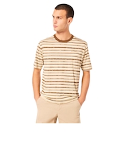 オークリー（OAKLEY）BLURRRED STRIPES 半袖Tシャツ FOA405507-BAI