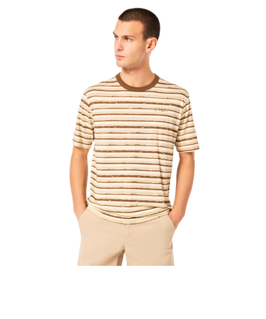 オークリー（OAKLEY）BLURRRED STRIPES 半袖Tシャツ FOA405507-BAI