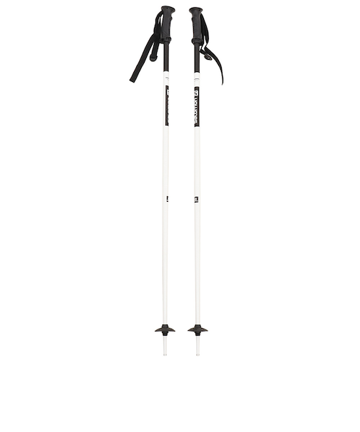 サロモン（SALOMON）スキーポール×NORTH 20 405594