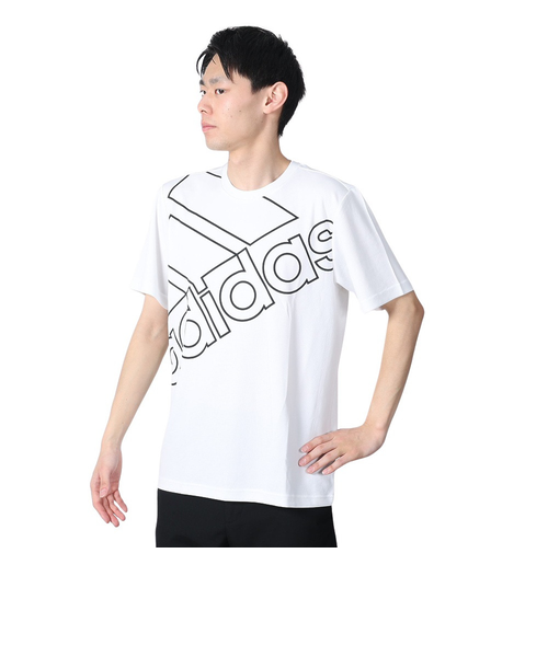 アディダス（adidas）TRN グラフィック 半袖Tシャツ KTF40-IY6365