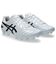 アシックス（ASICS）サッカースパイク 土 天然芝 人工芝用 DSライト クラブ DS LIGHT CLUB WIDE 1103A097.101
