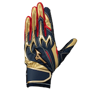 ミズノ（MIZUNO）バッティング用グローブ 野球 ミズノプロ シリコンパワーアークDI 両手用 1EJEA25014