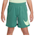 ナイキ（NIKE）パンツ ショートパンツ 速乾 グリーン マルチ+ ドライフィット トレーニング ショートパンツ FV0269-361