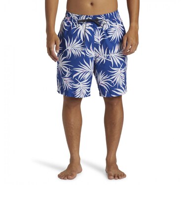 クイックシルバー（Quiksilver）EVERYDAY MIX VOLLEY 19 ボードショーツ 24SPAQYJV03148BYC6