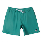 クイックシルバー（Quiksilver）撥水 EVERYDAY SOLID VOLLEY 19 ボードショーツ 24SPAQYJV03155GMP0