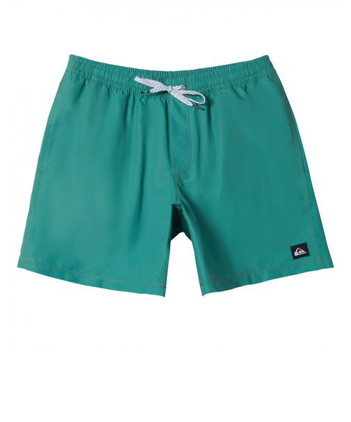 クイックシルバー（Quiksilver）撥水 EVERYDAY SOLID VOLLEY 19 ボードショーツ 24SPAQYJV03155GMP0
