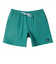 クイックシルバー（Quiksilver）撥水 EVERYDAY SOLID VOLLEY 19 ボードショーツ 24SPAQYJV03155GMP0