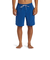 クイックシルバー（Quiksilver）水着 海水パンツ EVERYDAY VERT VOLLEY 19 ボードショーツ 24SPAQYJV03157BYC0