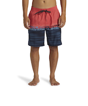 クイックシルバー（Quiksilver）水着 海水パンツ EVERYDAY WORDBLOCK VOLLEY 19 ボードショーツ 24SPAQYJV0315…