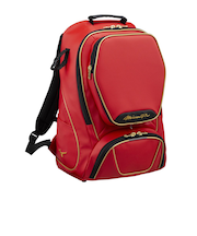 ミズノ（MIZUNO）野球 バッグ ミズノプロ mizuno pro バックパック 40L 1FJD300062