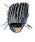 ウイルソン（Wilson）軟式用グラブ 内野手 野球グローブ 一般 Basic Lab DUAL D5 Wブラック ウィルソン デュアル WBW102369