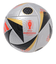 アディダス（adidas）サッカーボール 5号球 検定球 決勝球 ユーロ EURO2024 フースバルリーベ フィナーレ プロ AF590F