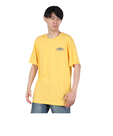 ハーレー（HURLEY）エブリデイ エレクトリック ポイント ショート スリーブTシャツ MTS0040360-H723