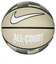 ナイキ（NIKE）バスケットボール 7号球 エブリデイ オールコート グラフィック BS3051-7037