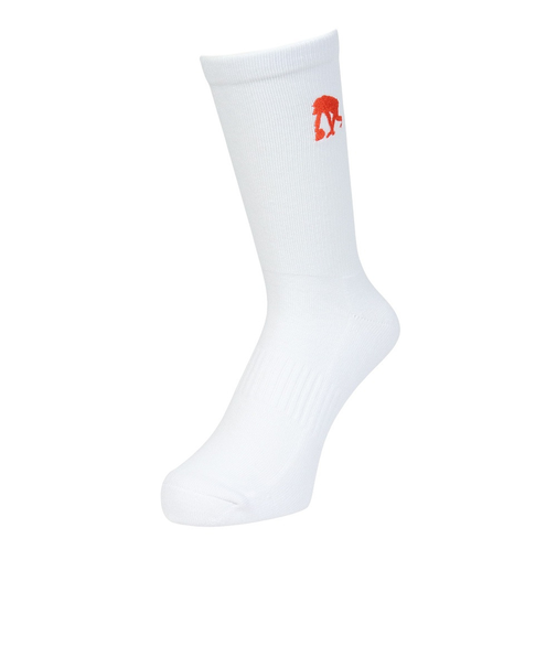 エゴザル（EGOZARU）バスケットボール ソックス ラインソックス EZAC-T2201-056