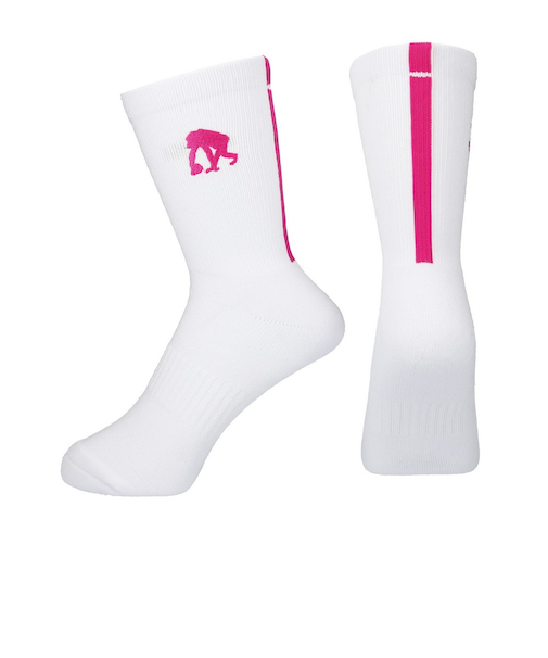 エゴザル(EGOZARU)バスケットボール ソックス ラインソックス EZAC-T2201-149