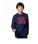 アンダーアーマー（UNDER ARMOUR）ライバルフリース カレッジ クルーネック スウェットシャツ 6000886 410