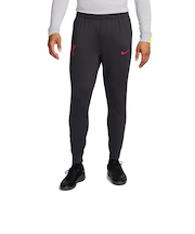 ナイキ（NIKE）リバプール リヴァプール LFC DF STRK パンツ KPZ3R FQ2454-070