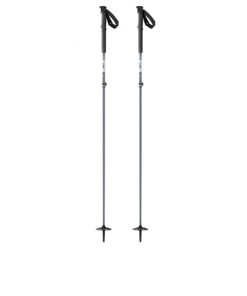 キャラバン（Caravan）スキーポール PROGUIDE C SRS POLE P2918920003