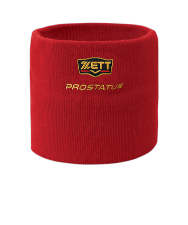 ゼット（ZETT）野球 ネックウォーマー プロステイタス PROSTATUS BFN110-6400
