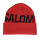 サロモン（SALOMON）帽子 HERMITAGE ビーニー LC2302900