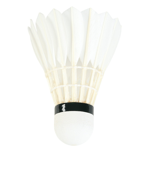 シャトル バドミントン プロフェザーSuper 4 PF-6610-NO4