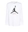 ジュニア ジョーダン BASELINE FLIGHT 長袖Tシャツ 95C892-001