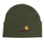 カーハート（CARHARTT）AMERICAN SCRIPTビーニー I0342352BRXX24FW