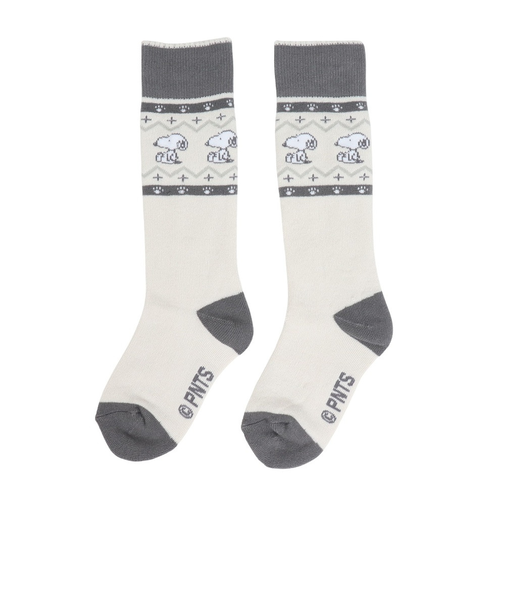 ベスプ（VESP）ジュニア ピーナッツ スキー ソックス SNJK1026GR