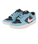 ナイキ（NIKE）スケートボードシューズ SB フォース 58 PRM L DV5476-400